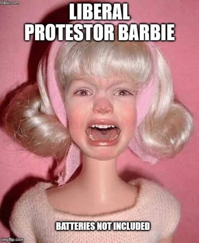 liberal-protester-barbie