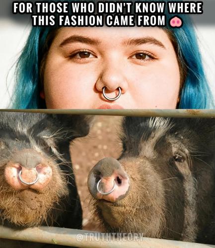 FB_IMG_1767530076904