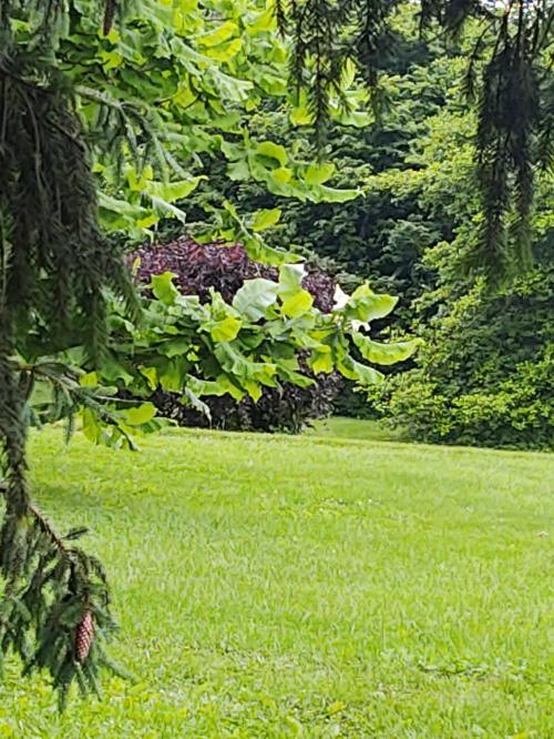 IMG_20240514_132021478