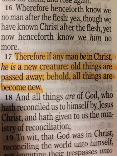 FB_IMG_1768132792501