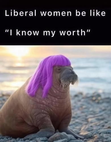 Low-616215365_893293153187101_222054493726241128_n-low resolution v2-1x