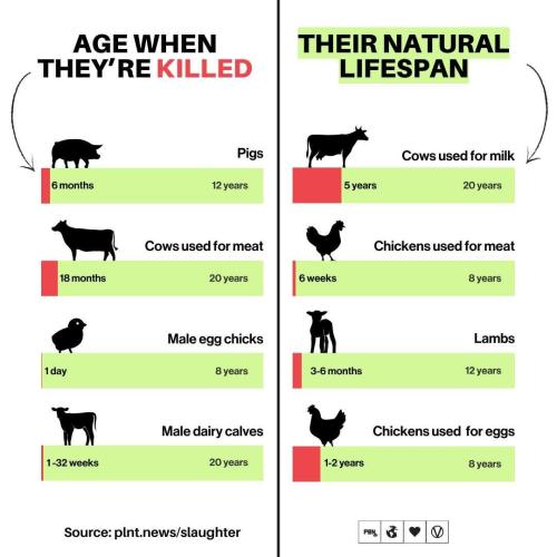 582216011_10224405995336781_2735391526167344016_n