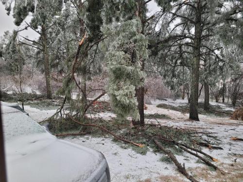 ce0adfd6-1fa7-4513-92ac-0dd68e6143f8