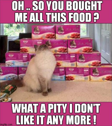 oh-so-bought-all-this-food-ds-m-ed-imgflipcom-pity-dont-like-any-more