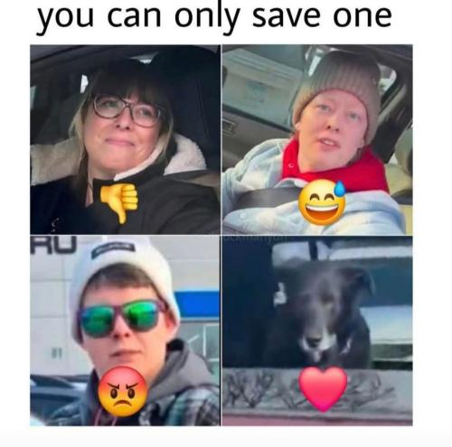 Ha! Of course the poor dog