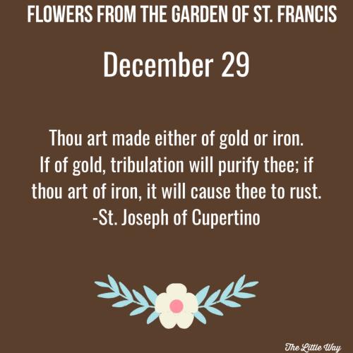 FB_IMG_1767025965346