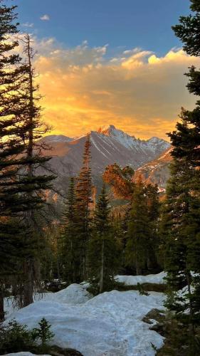 RDT_20260122_2124472194541265251669986