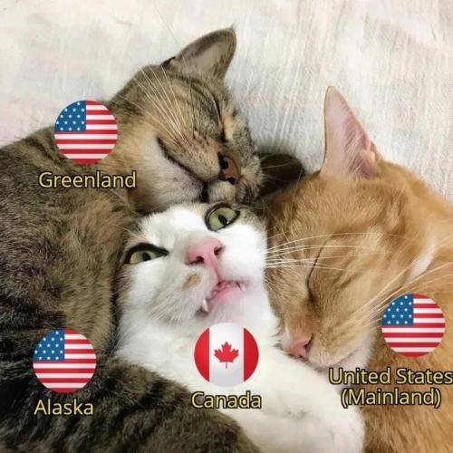 image_323A465F-61FD-41BF-A410-FF7053AB6EBE