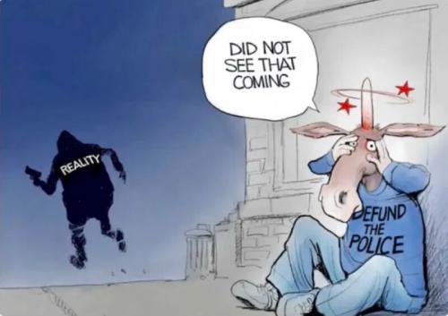 defund-police-reality