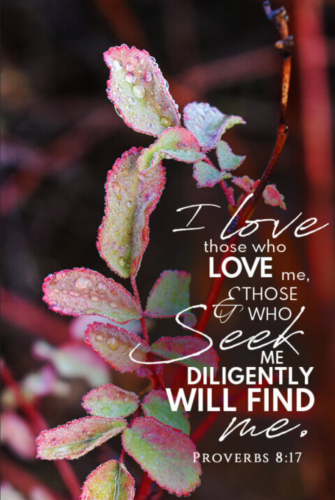 Screenshot_20260124-161720-133