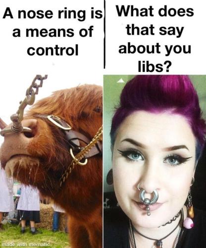 image_43B8BD4F-B751-4848-8DDB-CA840FB5A89E