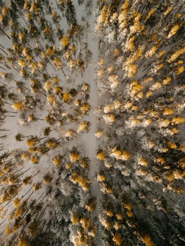 photo-1767597186189-f93eb5bb3a85