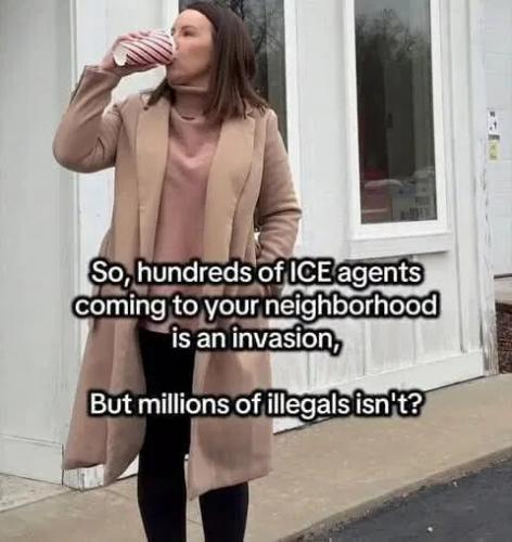 ice-is-invasion-illegals-not