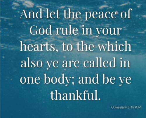 25c71803-3869-4682-9990-b30f59ecd32e