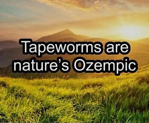 608020004_905724475447210_3629433613798773281_n