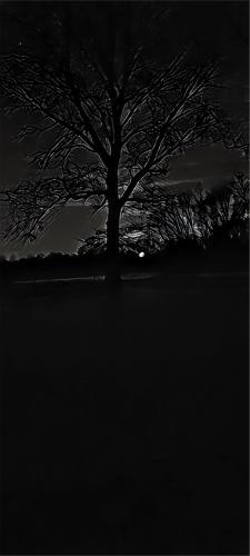 IMG_20260129_091248019_Light summer reading