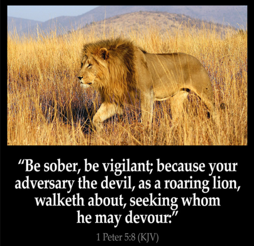 Screenshot_20260125-175941-105