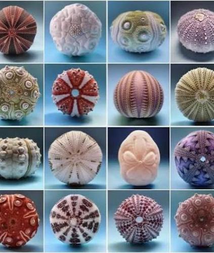 b64ac096-ee42-464e-92f4-251b7cb83623