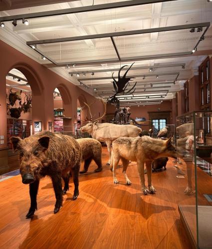 RDT_20260108_1844521485090831822068134