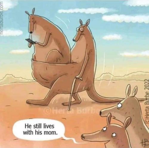 Screenshot_20260110_072517_Gallery