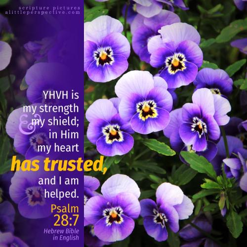 psa-28-7-HBE-pixabay