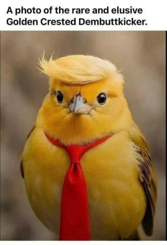 att.mTHTGy4WfxWI344VBIKReJQAC-wrYRdr3PjKbSBwMFo