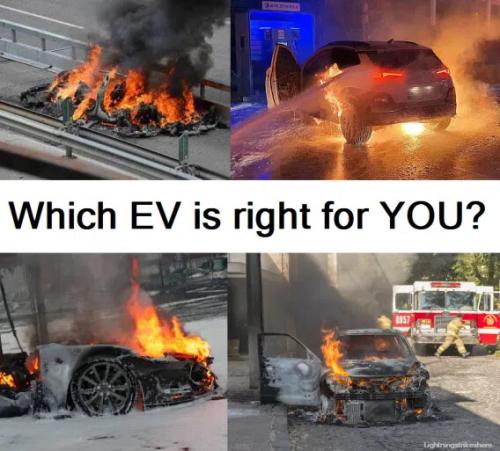 which-ev-is-right