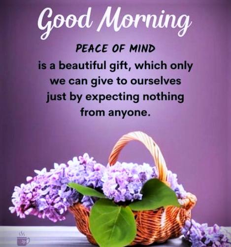 011426 - Peace of mind