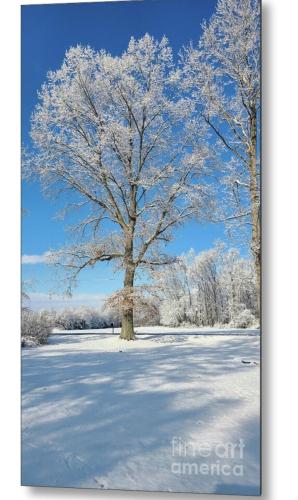 Screenshot_20260111_183605_Brave