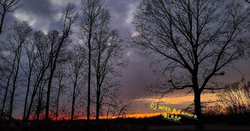 Screenshot_20260114_185502_Gallery