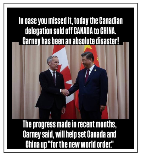 in case you missed it