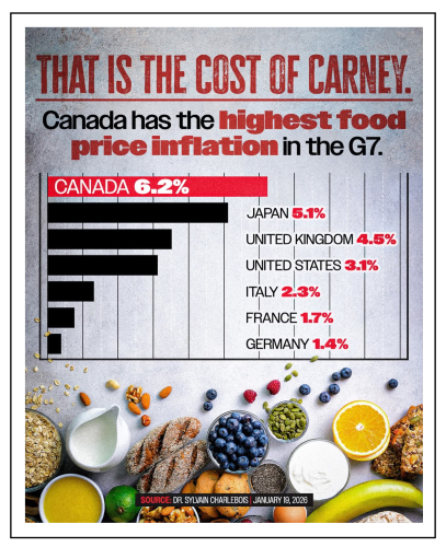 the cost of carney