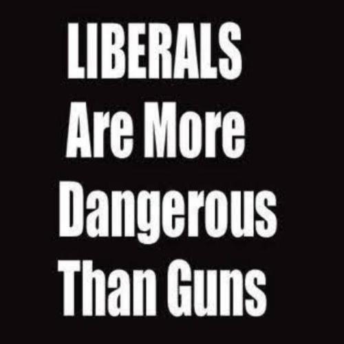 Liberals are Dangerous 1