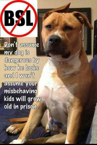 9d194ab20d1c83d1393583e853d62f9d