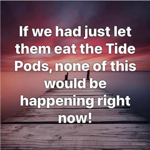 if-we-had-let-them-eat-tidepods