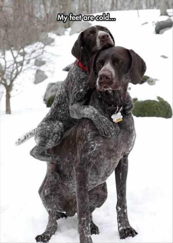 askMVbKhJE98JiYkNwHd_25_e26288484feefe51b38138b3d0244e25_image