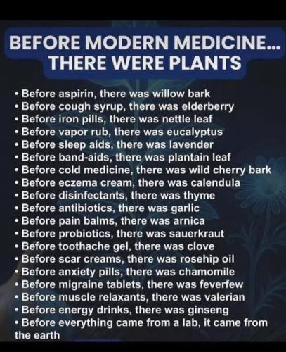 ,       ,        423193798_7468111