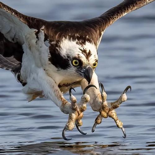 490127307_9253855591409669_1568545186282708709_n