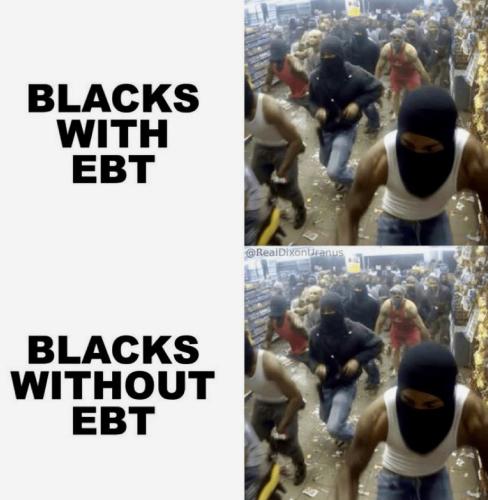 IMG_20260131_143836_415