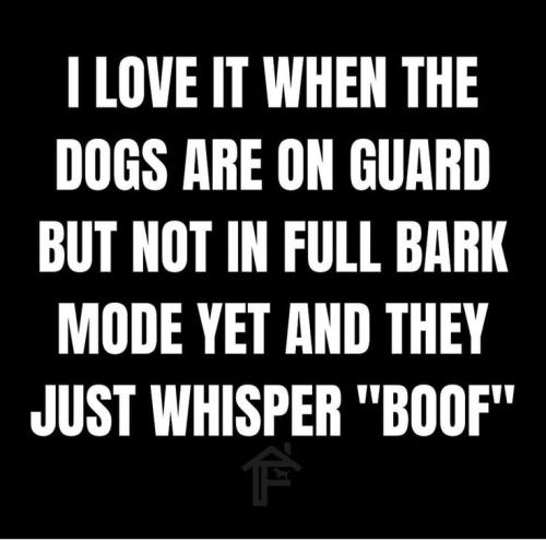 7d9ca00a679701b0c4af643f510ed697