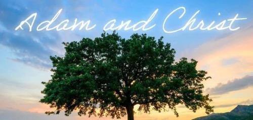 535433a7-0a44-4dc9-9d94-1a1266a56474