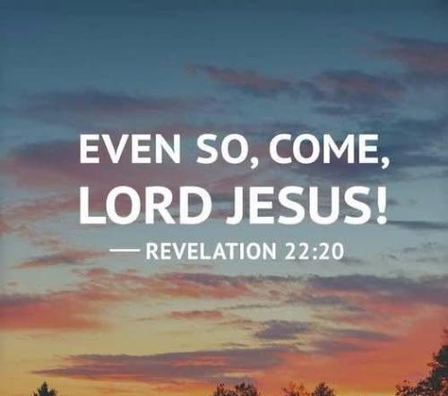 208d0198-bd99-4d86-a8d6-53af7bd3b9cf