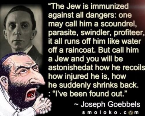 933b3a6e-11fc-4b88-8b12-e3c6c0899c71