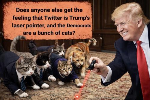 image_494A00C4-1620-4E44-9CCF-9E1AAF7A1743