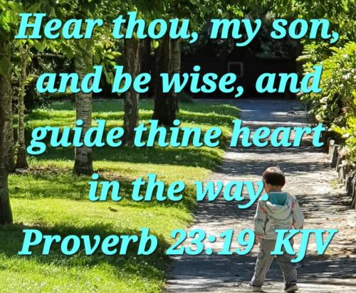 8390bf1b-969b-4cc1-a2b2-3310c0bbc94e