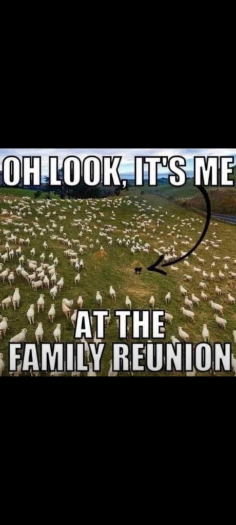 93723280-0236-44cb-be2e-747fa239af23