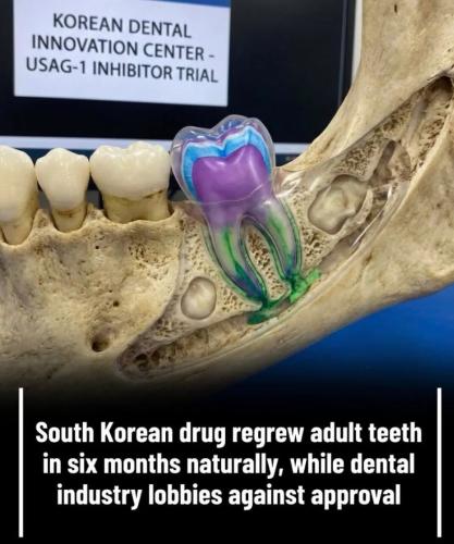 89cd309233beb306f4757104022ed19b