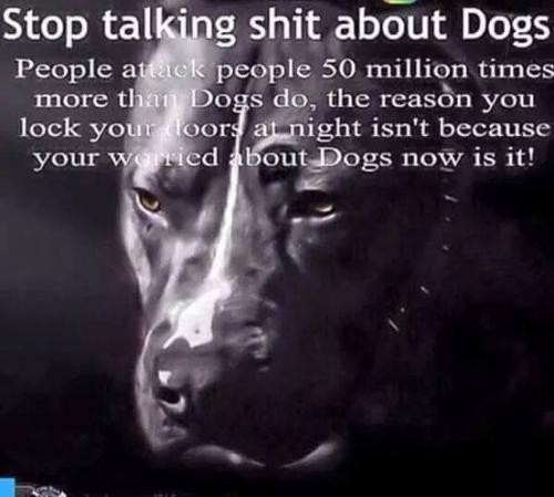 f42a51296479853c5d574a54835cbe00