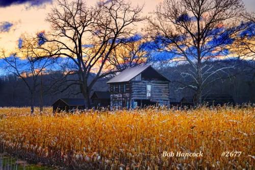 FB_IMG_1764241210056