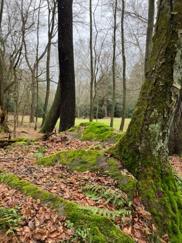 A82DAC0D-924C-416B-9A2B-83A68A213755